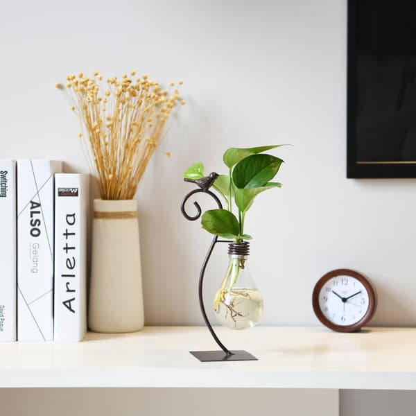 Skrivebordsdekorasjon i glass, hydroponisk vase, katteholder for planteterrarium, Scindapsus-beholder