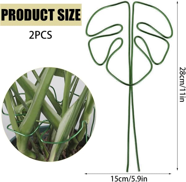 Monstera Plant Support with Unique Leaf Design for Indoor Plants, Versatile Stem Support (Green)