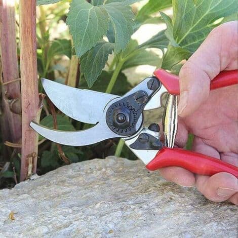 Ahlsen Volute Pruning Shears Springs, Replacement Volute Spring, Stainless Steel Garden Pruner Spring Parts, Replacement Spring Garden Tool Accessory (HK)