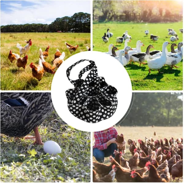 Kyllingeggkurv | 9-roms eggkurv for å holde eggene ferske (FMY)