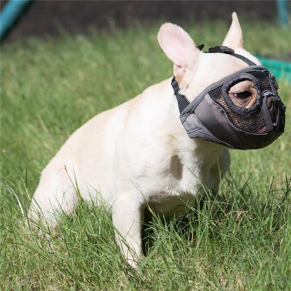 Short Snout Dog Muzzle - Adjustable Breathable Mesh Bulldog Muzzle for