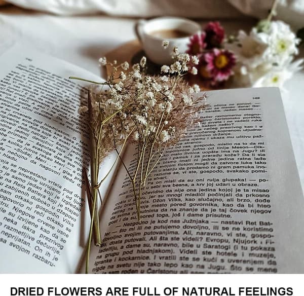 Tørrede blomster Blomsterbuket Naturlige tørrede blomster Dekorative tørrede blomster