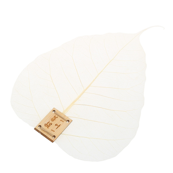 Creative KungFu Mesh Hollowed Filter Tea Set Tea Strainers Tea Fun