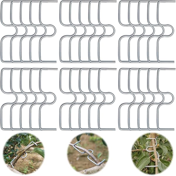 30 Pieces Fruit Tree Branch Spreaders, Fruit Branch Holders, Metal Branch Clips for Garden Branches, for Spreading and Stretching Fruit Tree Branches