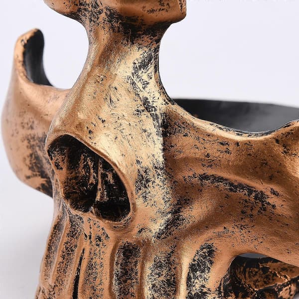 Skull Resin Eyeglass Stand - Detailed, Sturdy, and Vibrant