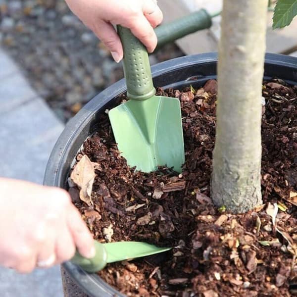 3 hagespader, omplantingsverktøy, plasthåndtak, minirake