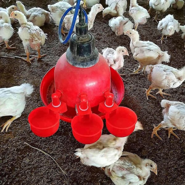 12 Pcs Chicken Water Cup Automatic Refill Waterer Poultry Drinking Bowl Thread Waterer C