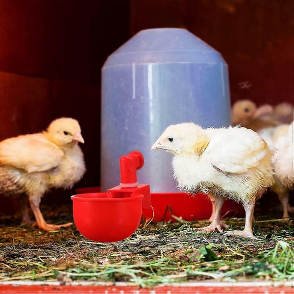 12 Pcs Chicken Water Cup Automatic Refill Waterer Poultry Drinking Bowl Thread Waterer C
