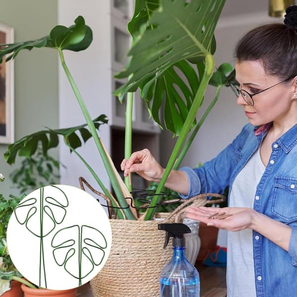 Monstera Plant Support with Unique Leaf Design for Indoor Plants, Versatile Stem Support (Green)