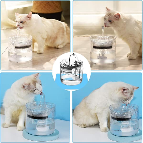Automatisk kattevannfontene 1,8L Valp Katt Vannfontene 1 Bil