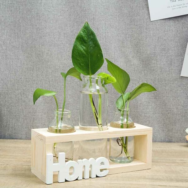 Liten Frisk Transparent Glas Vas Hydroponisk Grön Växt Behållare Sovrum Kontor Bord Dekoration Prydnader