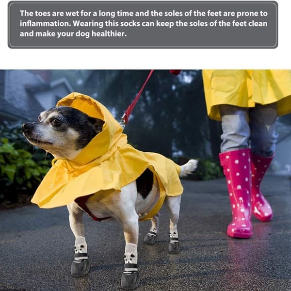 Hundestrømper, skridsikre strømper til hunde, hundebeskyttelsesstrømper, hundestrømper, KLB