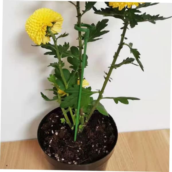 20 st växtstöd för trädgård, enstammiga blomstöd och blomsterträdgård