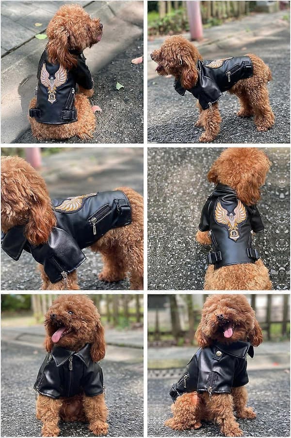 Cool Dog Leather Jacket, Warm Dog Jackets Windproof Cold Weather Jackets for Large Medium Small Dogs with Eagle Embroidery Black S_tfrf