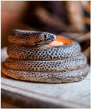 3D Coiled Snake Resin Ljusstake Ljusstake Ornament Heminredning