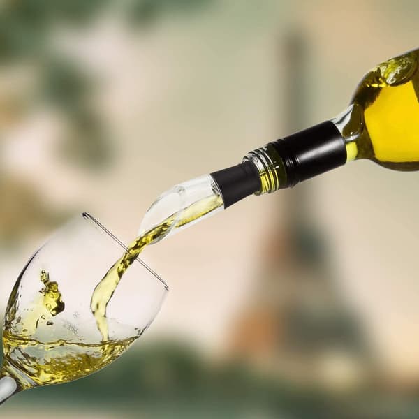 Vin køler, vin køler med vinkølestav i rustfrit stål og kølestav, vin køler med hældetud