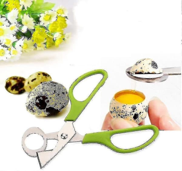 10 stk Vaktel-egg saks, Vaktel-egg skallkutter Rustfritt stål Eggeskallåpner, Eggeskallkutter (FMY)
