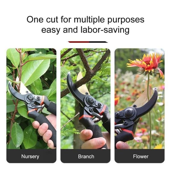 Garden Scissors - Plant Scissors - Gardening Tools - For Cutting Stems of Vegetables, Fruit Trees