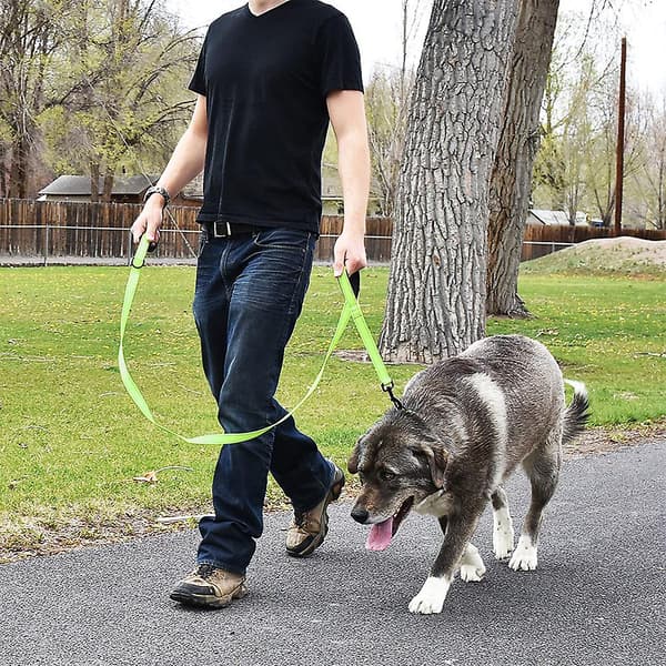 Pet Gear Dog Leash 1.5m Long Padded Double Handle Heavy Duty Double Handle Leash For Control Safety Training Leash - Orange