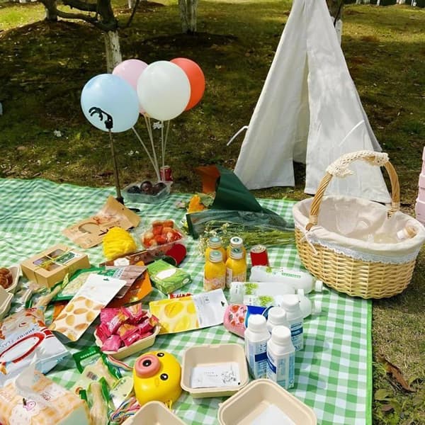 Vandtæt picnictæppe, 200x200cm. Foldbart og vaskbart, til camping/vandring/rejser. Grøn.