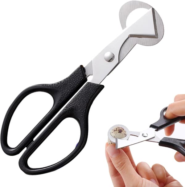 Pigeon Quail Egg Shell Cutter, Stainless Steel Scissor Cutting Egg Opener Suitable for Home Restaurant Kitchen