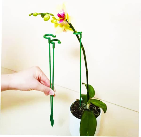 20 st växtstöd för trädgård, enstammiga blomstöd och blomsterträdgård