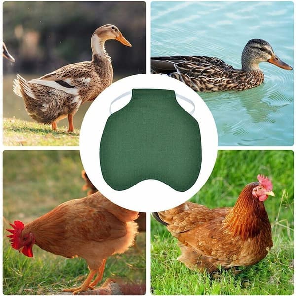 3PCS Pet Vest, Chicken Clothes, Poultry Hen Saddle Apron, Adjustable Chicken Vest Feather Protector Holder Green