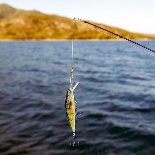 5 st 8 cm Plast 3D Fisheye Minnow Livsliknande Konstgjort Hårdbete Fiskebeten Tillbehör 5 Färger 8 cm