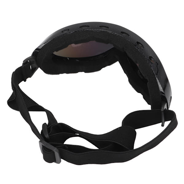 Husdjursglasögon utomhus UV-skydd Katt Hund Solglasögon Universal Funny Matchande glasögon Snake Skin Ram Röd lins