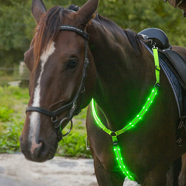 LED-brystplatekrage for hest med høy synlighet, justerbar sikkerhetsutstyr for ridning