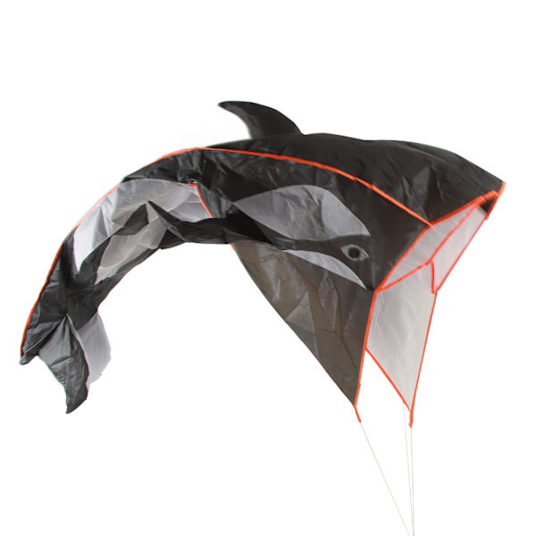 Unisex 3D Whale Kite Ramlös Mjuk Parafoil Tecknad Djur Vattentät 3D Ramlös Breeze Kite för stranden