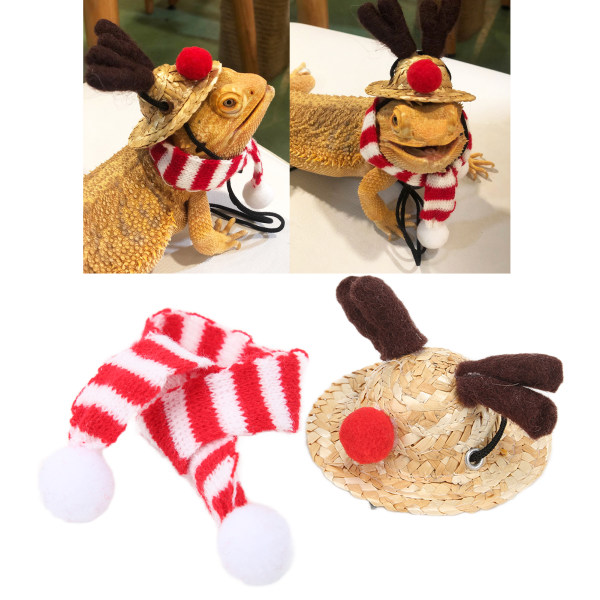 SX Julehat og halstørklæde til skægget drage, justerbar halmhat og halstørklæde til krybdyr, julekostume til feriefestfotos (elghat, rød halstørklæde, L-hat)
