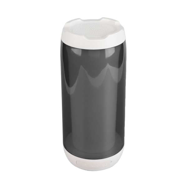 Bärbar Bluetooth-högtalare Bländande ljus Bluetooth-högtalare för Home Party Utomhus Beach Födelsedagspresent Vit