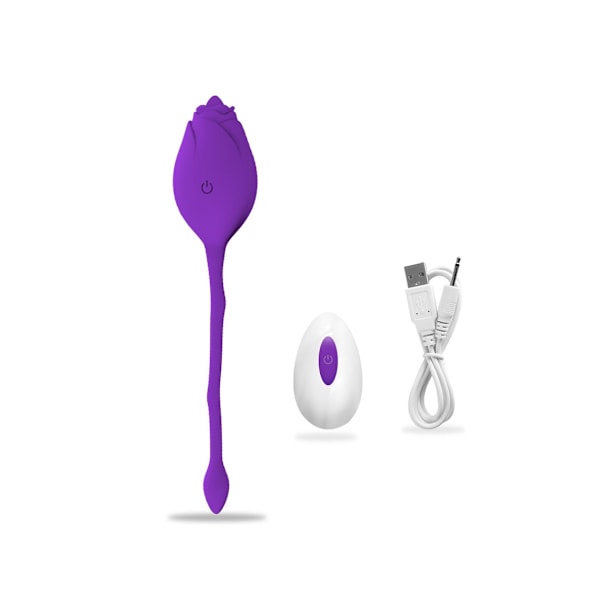 10 Lägen Ros Hopp Ägg Trådlös Fjärrkontroll Vibrator (Lila)