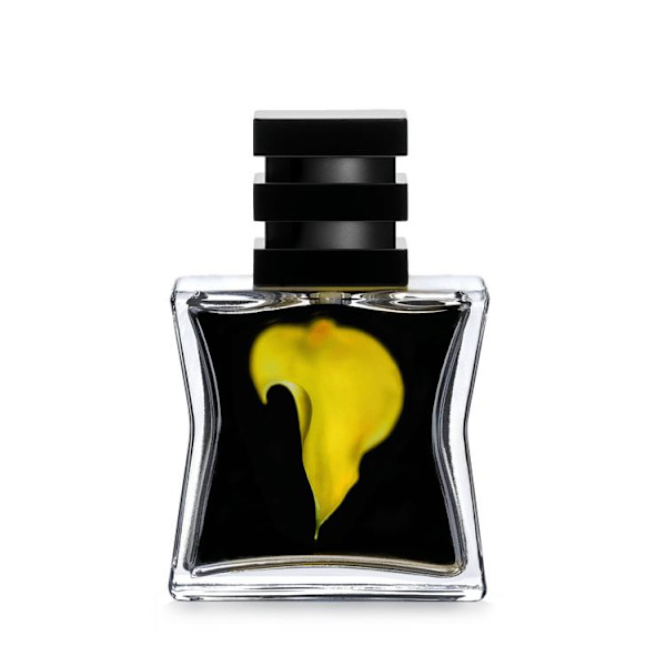SG79 STHLM N°23 Edp 15ml Transparent