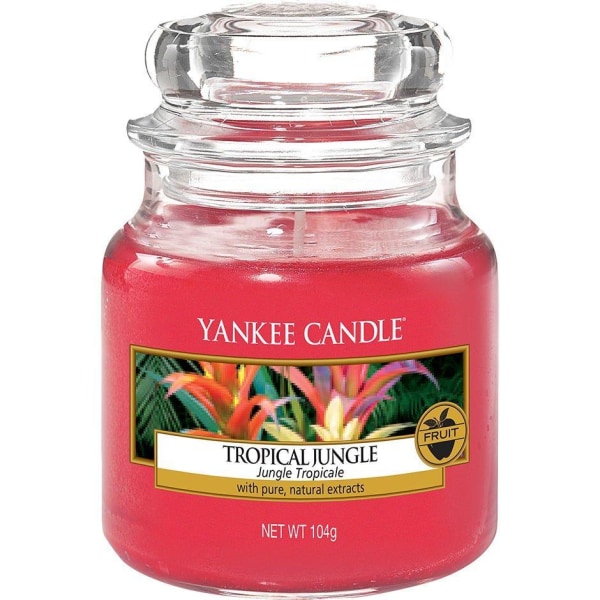 Yankee Candle Small - trooppinen viidakko Transparent