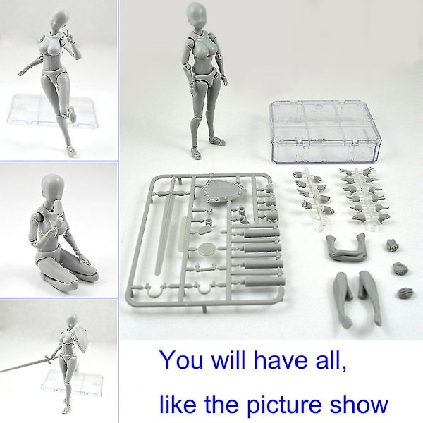 2.0 Actionfigurmodell för Shf Body Kun Doll Pvc Body-chan Dx Set [dB} Female