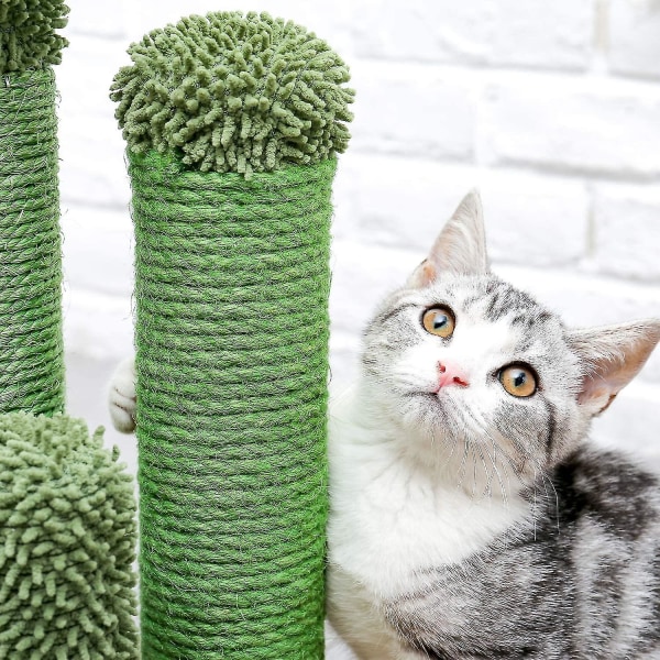 Veeki Cat Scratching Post Cactus Cat Scratcher med 3 skrabestænger og interaktiv dinglende bold