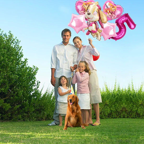 Paw Patrol -syntymäpäiväilmapallot, vaaleanpunaiset ilmapallot, tyttöjen syntymäpäiväilmapallot