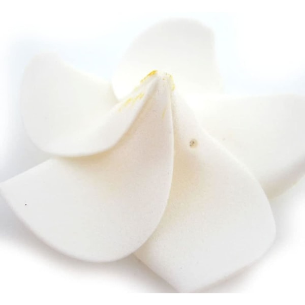 100-pack vitt skum Hawaiian Frangipani konstgjorda Plumeria blomblad Cap Hår Hat Wre
