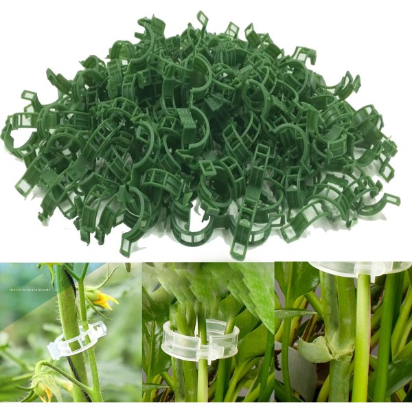 100/200/300 st plantstöd clips, plantklämmor för klätterväxter, ympverktyg upprätt växtväxande återanvändbar (grön/vit) green 100pcs