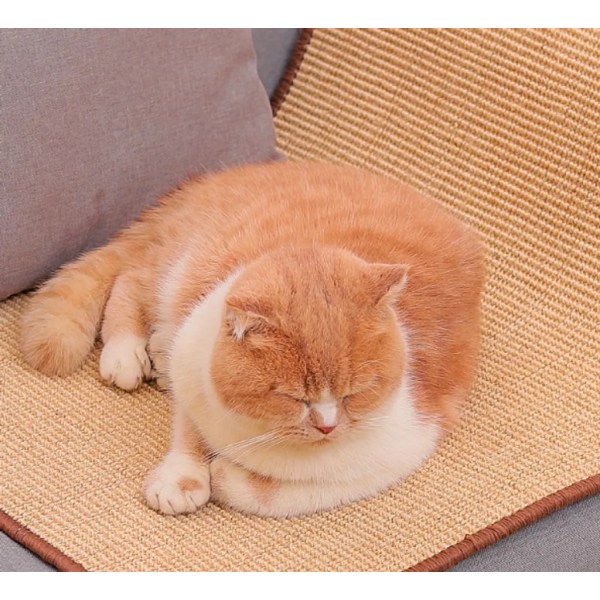 Cat Scratching Matte 40*60cm Taumatte Sisal Ripebeskyttelse Kattematte Kattematte til Sofa Stol Vegg Katte Taumatte