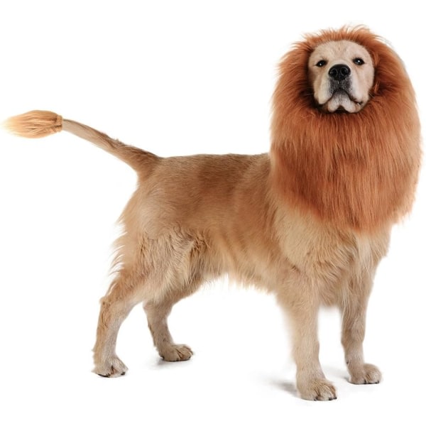 Dog Lion Mane - Realistisk och rolig lejonman för hundar - Kompletterande lejonman för hunddräkter