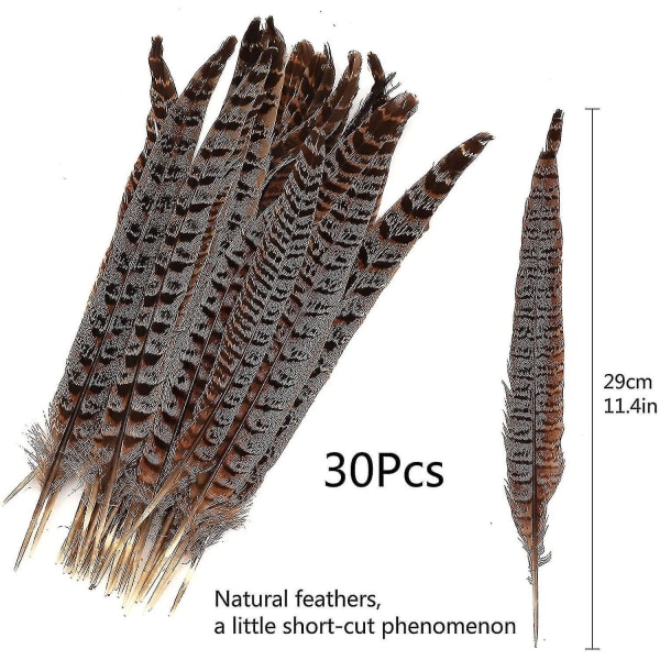 Naturlige Fasanhale Fjer Lange Fasan Fjer Dekoration Diy Karneval Tilbehør