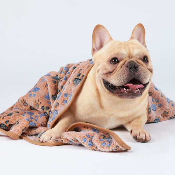 1 Pakke 3 Tæpper Super Bløde Fluffy Premium Fleece Dyretæpper Flannel Kast til Hund Hvalp Kat Pote