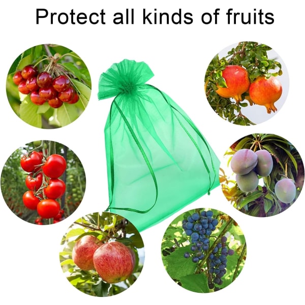 200 stk. Bunch Protection Bag 30x20cm Grape Fruit Organza Taske med snøre giver fuld beskyttelse mod hvepse fugle og andre insekter