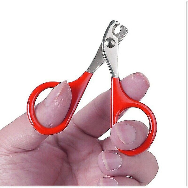1 st Professionell Nageltrimmer för Hundvalp Katt Tass Klosax_xx