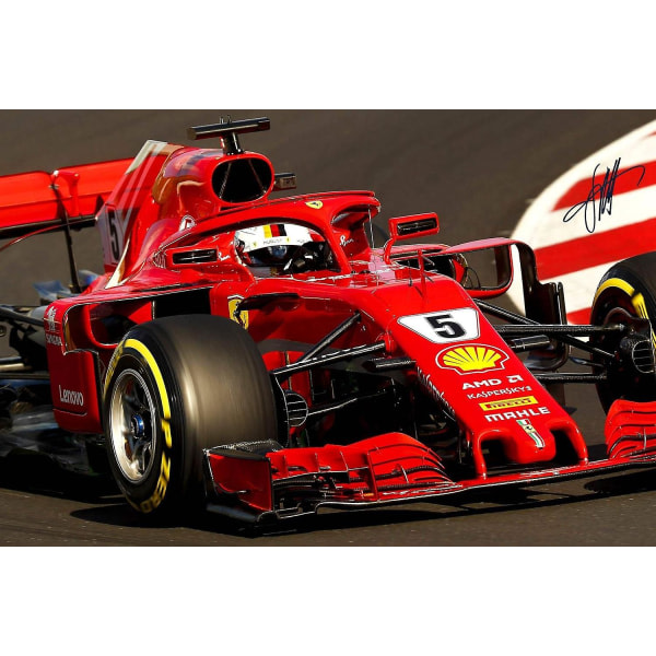 Ferrari F1 Formel 1 Racing med Sebastian Vettel autograf puslespil 300/500/1000 brikker 1000 brikker