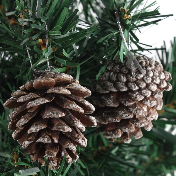 6 x julekogler 1,96" snedækkede naturlige fyrrekogler træ frostet