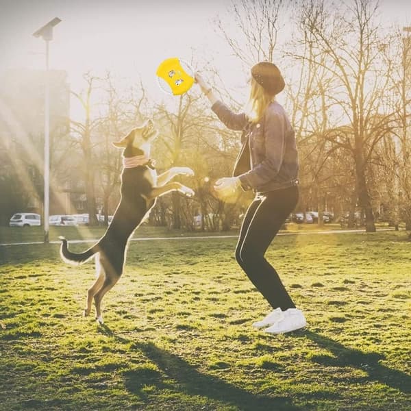 3-pack Hundfrisbee Flygande Diskar Rep Bomull Frisbee för Hundar